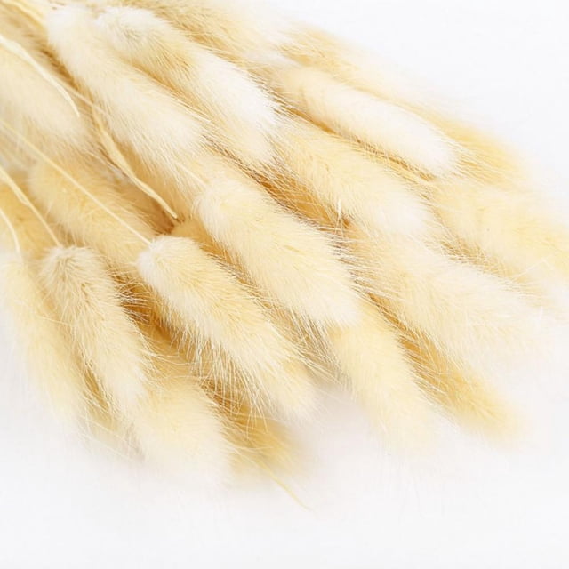 Topumt 50pcs Natural Rabbit Tail Grass--45cm Bunny Rabbit Tail Dried ...