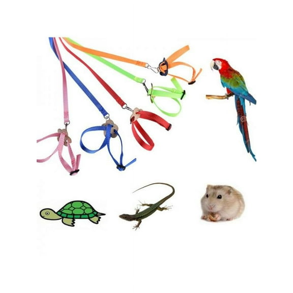 Topumt Pet Parrot Hamster Lizard Adjustable Harness And Leash