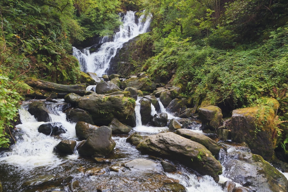 Torc Waterfall In Killarney National Park County Kerry Republic Of Ireland Canvas Art - Ken Welsh Design Pics (19 x 12)