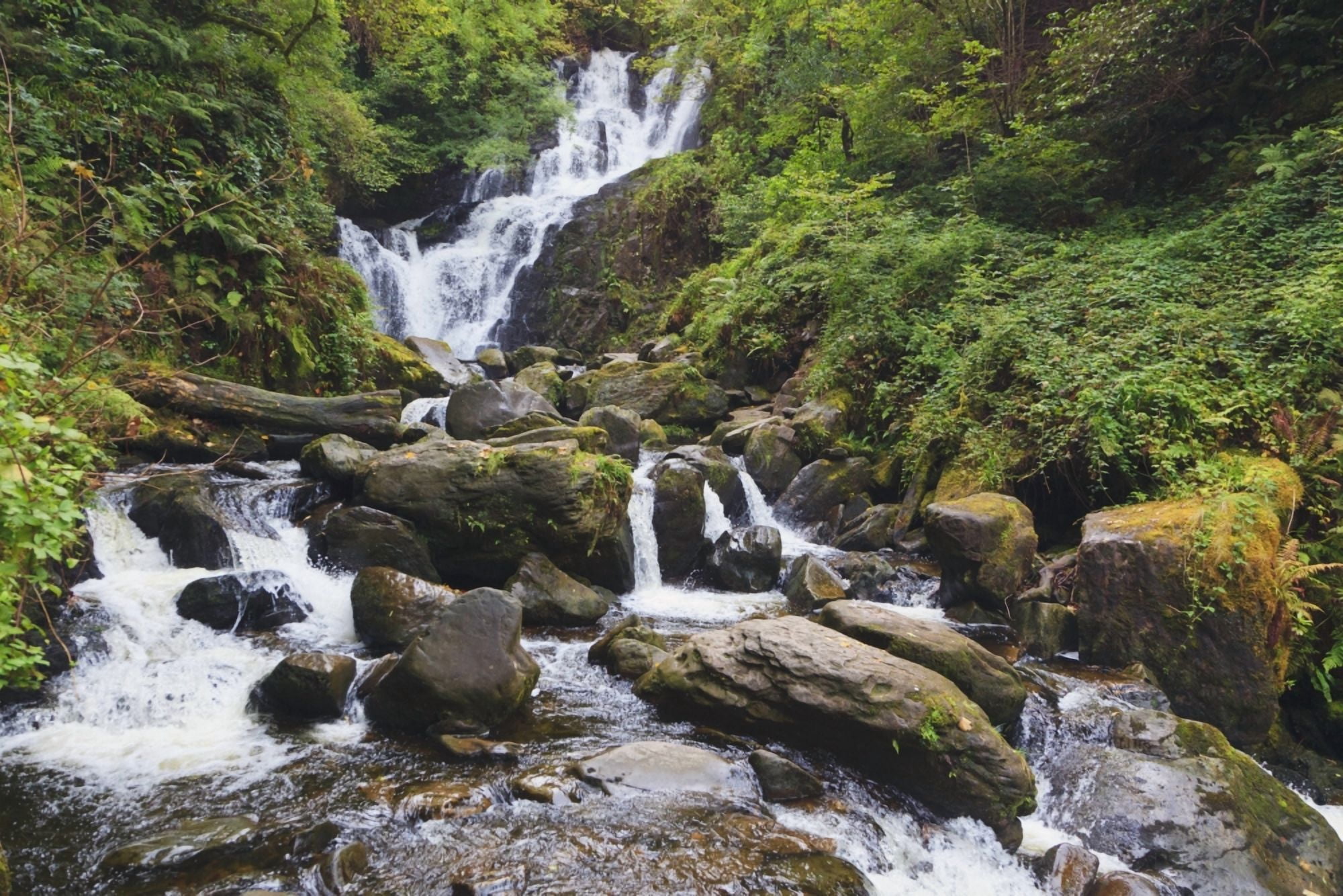 Torc Waterfall In Killarney National Park County Kerry Republic Of ...