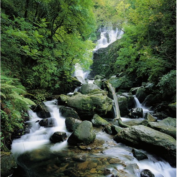 Torc Waterfall Killarney Co Kerry Ireland Canvas Art - The Irish Image Collection  Design Pics (15 x 15)