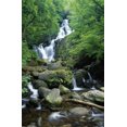 Killarney Library Torc Waterfall Killarney National Park County Kerry Ireland Canvas Art ...