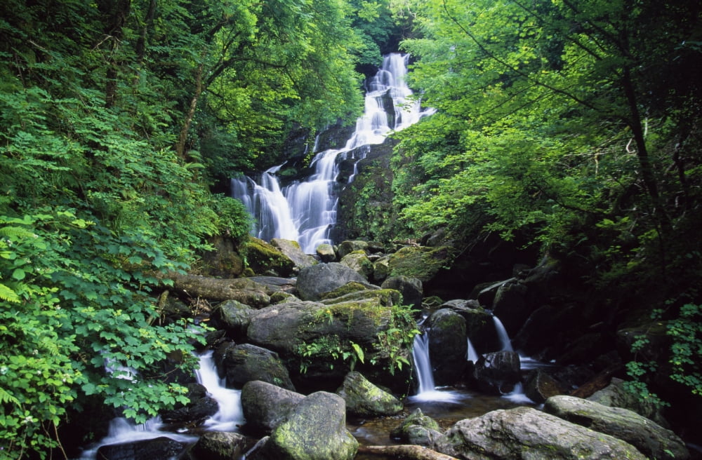 Torc Waterfall Killarney National Park County Kerry Ireland Canvas Art - Gareth McCormack Design Pics (36 x 24)
