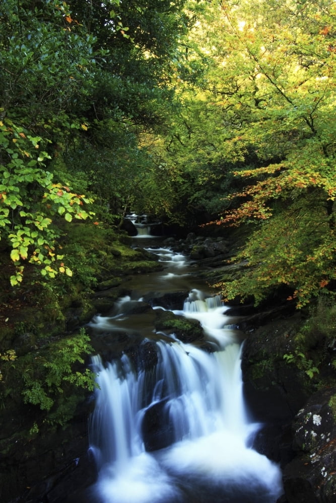 Torc Waterfall Killarney National Park County Kerry Ireland Canvas Art - Peter Zoeller Design Pics (12 x 18)