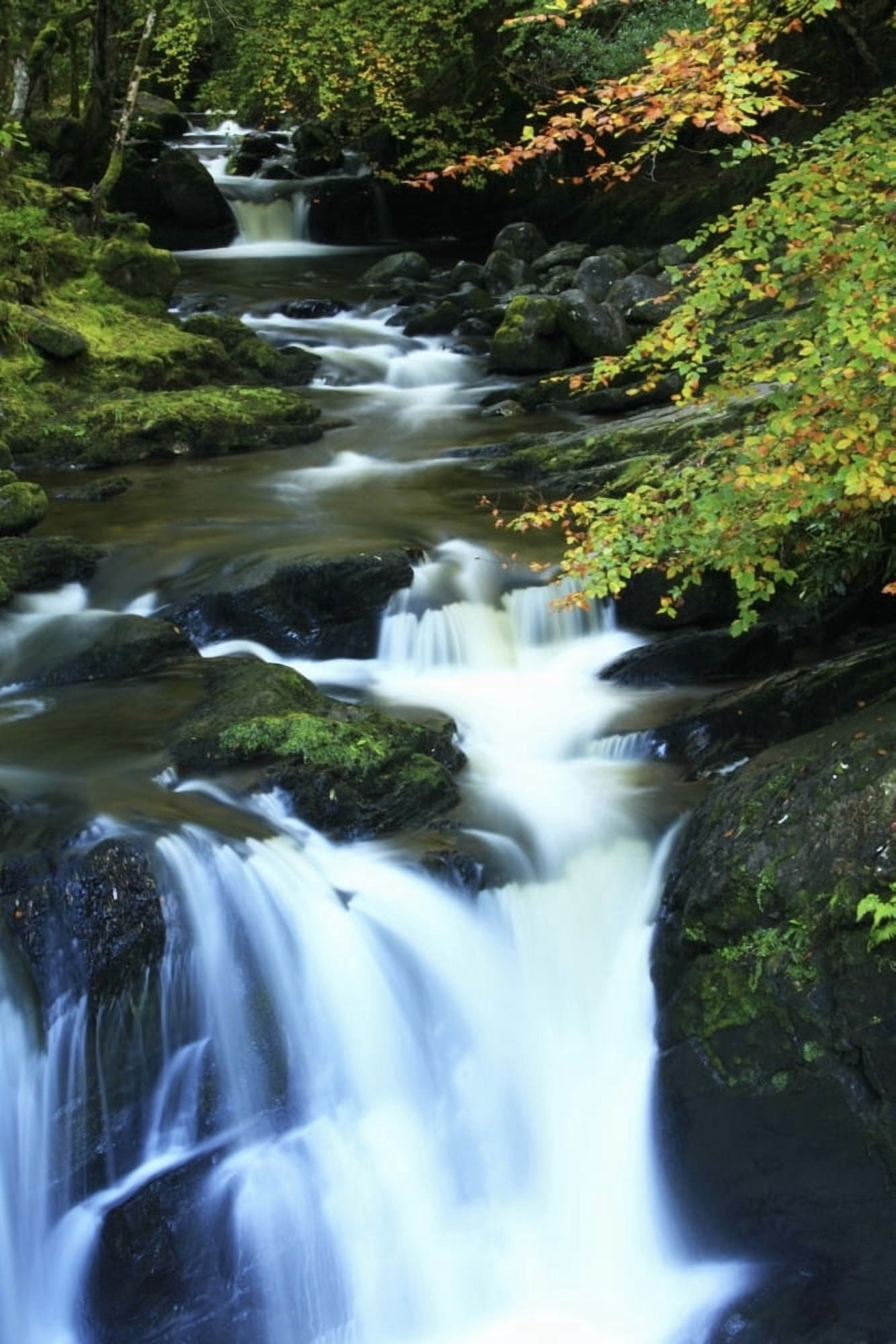 Torc Waterfall Killarney National Park County Kerry Ireland Canvas Art - Peter Zoeller Design Pics (12 x 18)