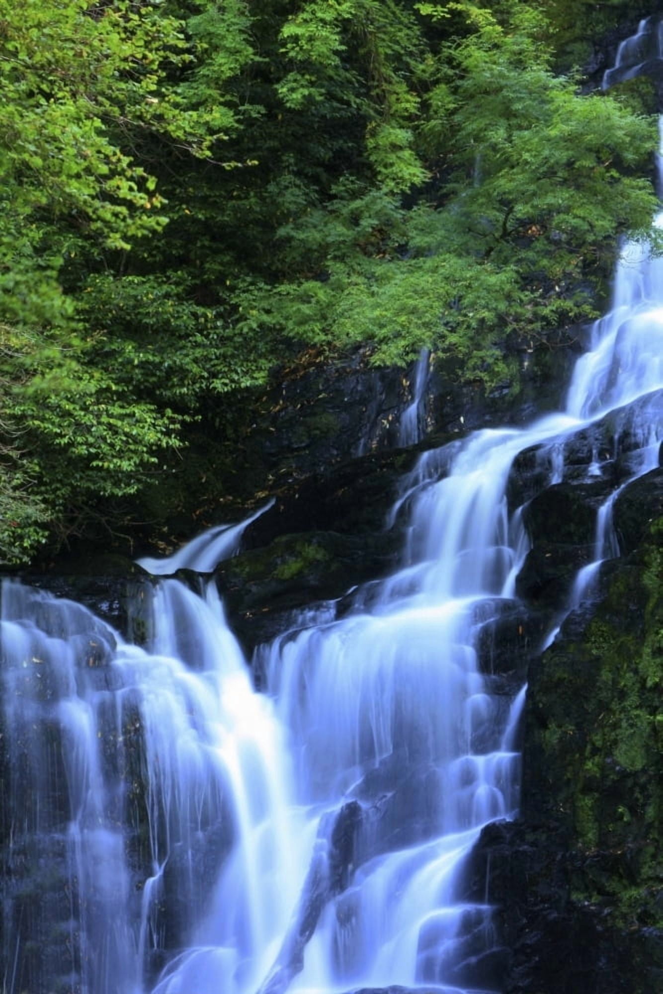 Torc Waterfall Killarney National Park County Kerry Ireland Canvas Art - Peter Zoeller Design Pics (24 x 36)