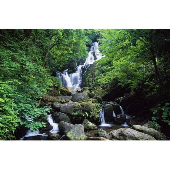 Torc Waterfall Killarney National Park County Kerry Ireland Poster Print by Gareth McCormack - 36 x 24 - Large