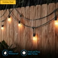 thumbnail image 1 of TorchStar 50ft String Lights, 24 Sockets, 36 Bulbs Included, E26 Sockets, 1 of 7