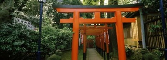 Torii Gates in a park Ueno Park Taito Tokyo Prefecture Kanto Region Japan Canvas Art - Panoramic Images (36 x 13)