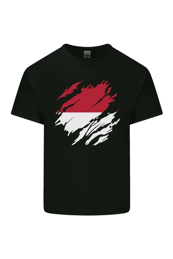 Torn Flag Monaco Design Classic Soft Stylish Casual Tee Shirt Top,for unisex up to 5XL