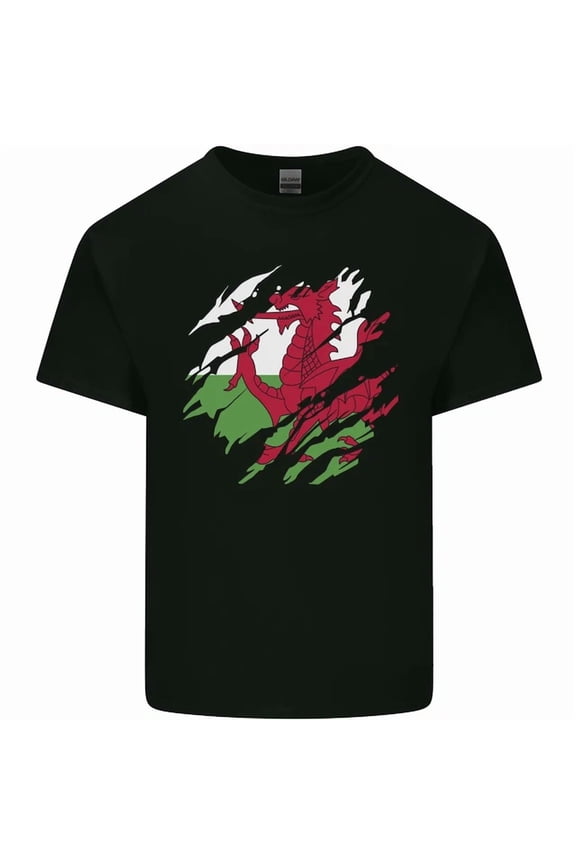 Torn Flag Wales Welsh Mens Womens T-Shirt