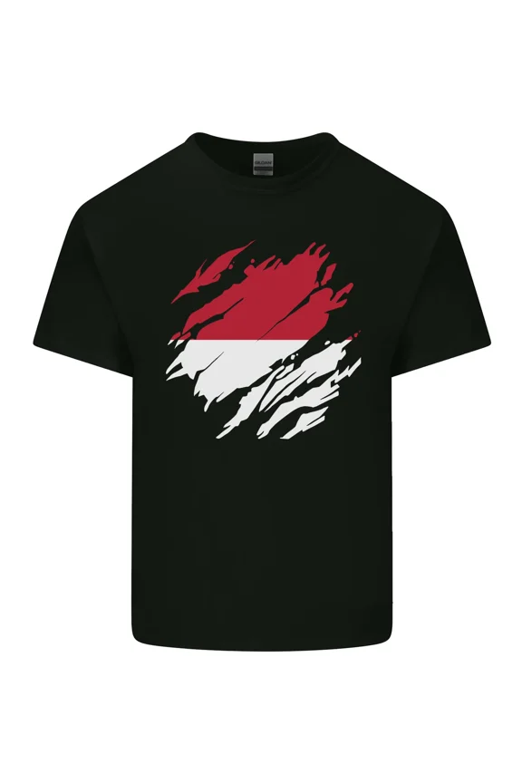 Torn Flag of Monaco for a Patriotic and Pride and Day and Supporter H9652 T-Shirt, for Men and Women, Up to Size 5XL
