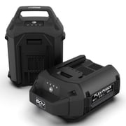 Toro Flex Force Power System 60 Volt Max 2.5Ah Lithium Ion Battery, Red