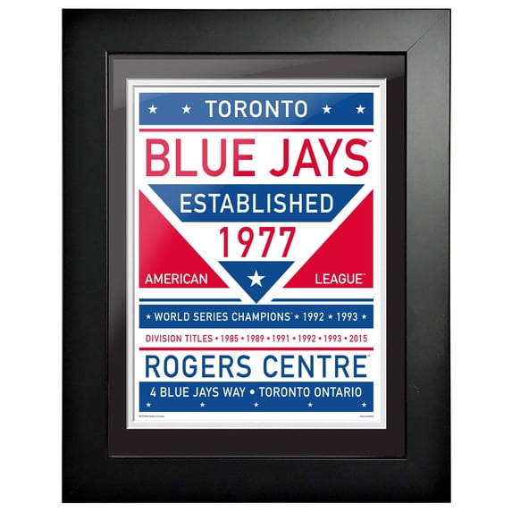 Toronto Blue Jays 12'' x 16'' Dual Tone Framed Wall Art