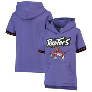 Toronto Raptors Mitchell & Ness Youth Hardwood Classics Split Color Fleece  Pullover Hoodie - Purple/Heathered Gray
