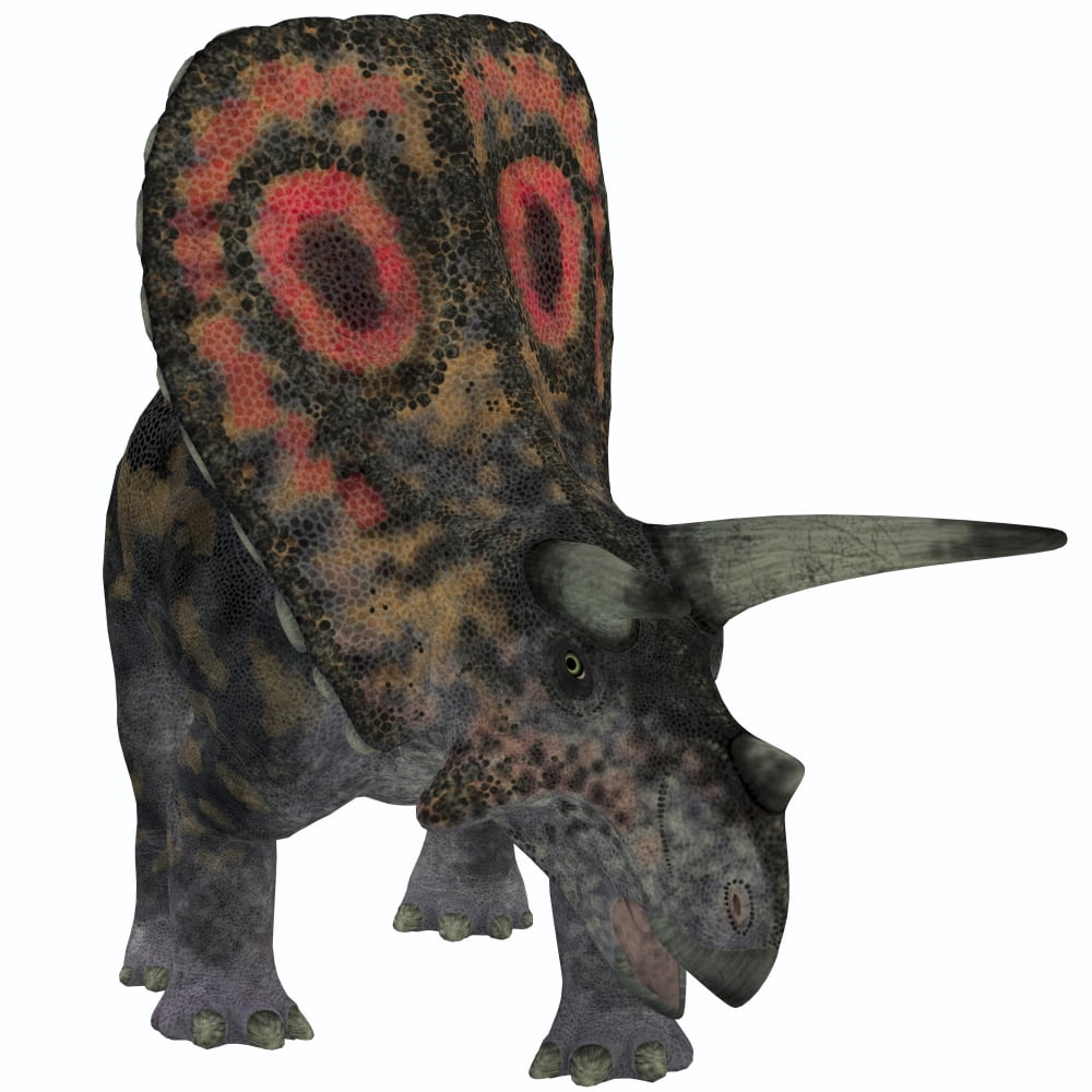 Torosaurus a herbivorous dinosaur from the Late Cretaceous Canvas Art - Corey FordStocktrek Images (29 x 29)