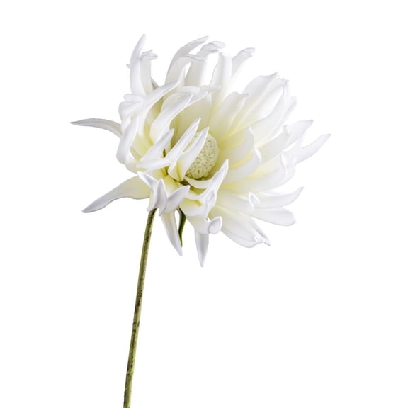 Torre & Tagus Desert Fringe Dahlia 31" Stem - White