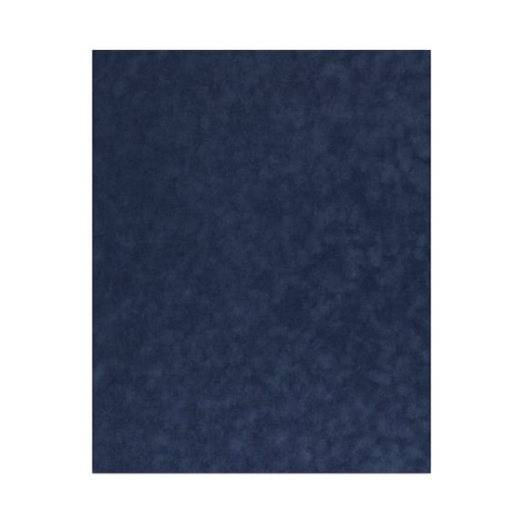 Torrent Suede Acid Free 8x10 Backing Board - Uncut Photo Mat Board - 1 Sheet