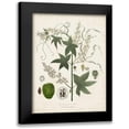 thumbnail image 1 of Torrey, John 12x14 Black Modern Framed Museum Art Print Titled - Flowering Flora II, 1 of 5