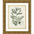 thumbnail image 1 of Torrey, John 12x14 Gold Ornate Wood Framed with Double Matting Museum Art Print Titled - Flowering Flora I, 1 of 4