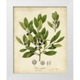 thumbnail image 1 of Torrey, John 26x32 White Modern Wood Framed Museum Art Print Titled - Ink-berry Tree Foliage, 1 of 4