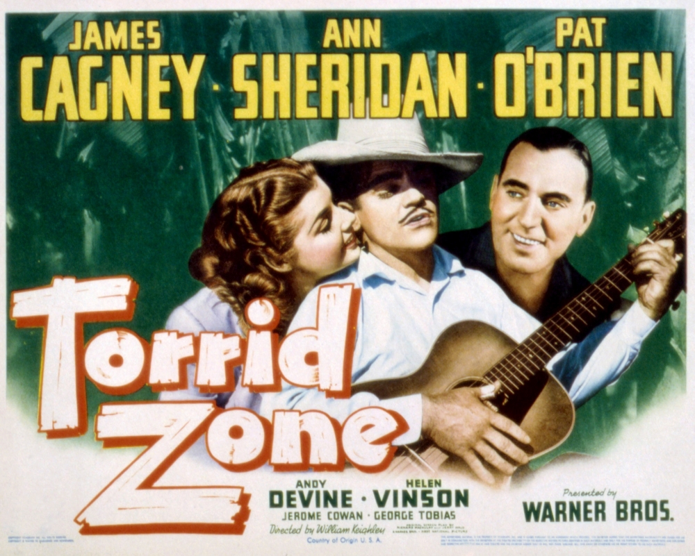 Torrid Zone Canvas Art - (28 x 22)