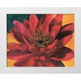 thumbnail image 1 of Torrontegui, Maria 32x26 White Modern Wood Framed Museum Art Print Titled - Red Water Lily, 1 of 4