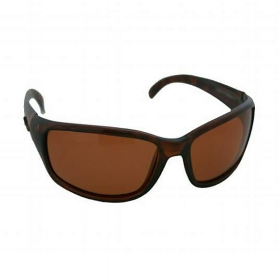 Tortoise / Copper Cruiser