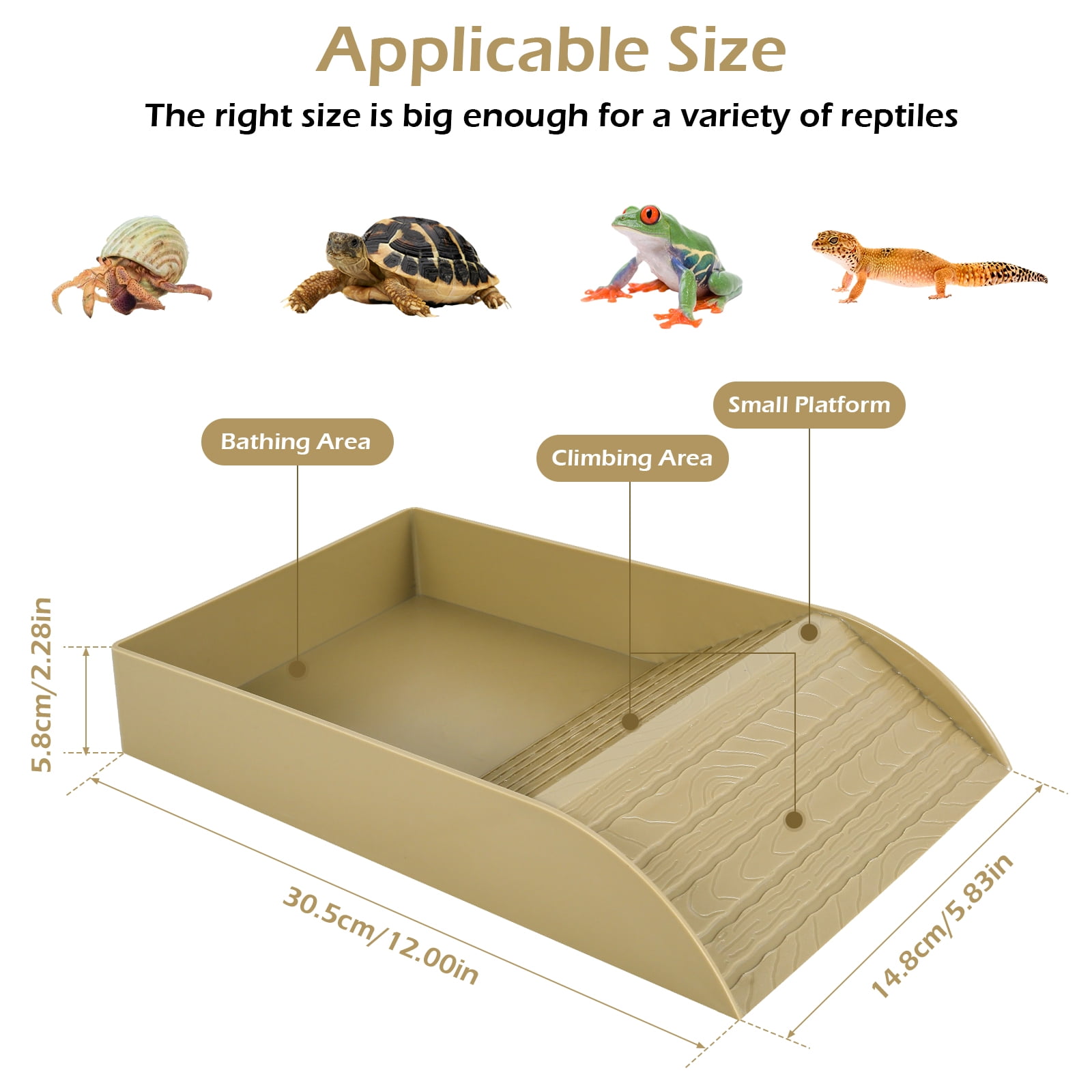 Tortoise Food Dish Plastic Turtle Food and Water Bowl Tortoise Habitat ...
