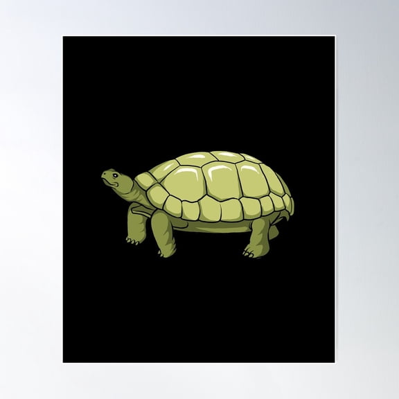 Tortoise Poster Wall Art, Modern Wall Decor For Living Room Bedroom, 12x18 UNFRAMED