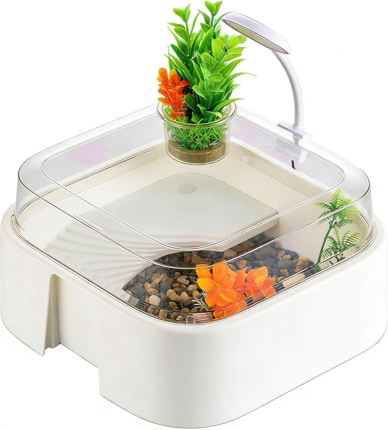 Tortoise Tank Set with Lighting, Artificial Plants, Stones, Raised Curved Design for Indoor