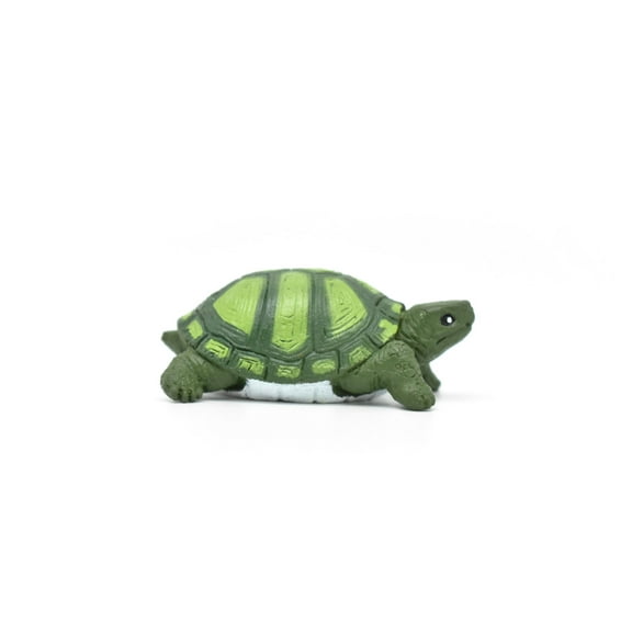Tortoise, Turtle, Green, Realistic, Plastic, Reptile Design, Educational, Hand Painted, Figure, Lifelike, Model, Replica, Gift 2" CWG231 B306