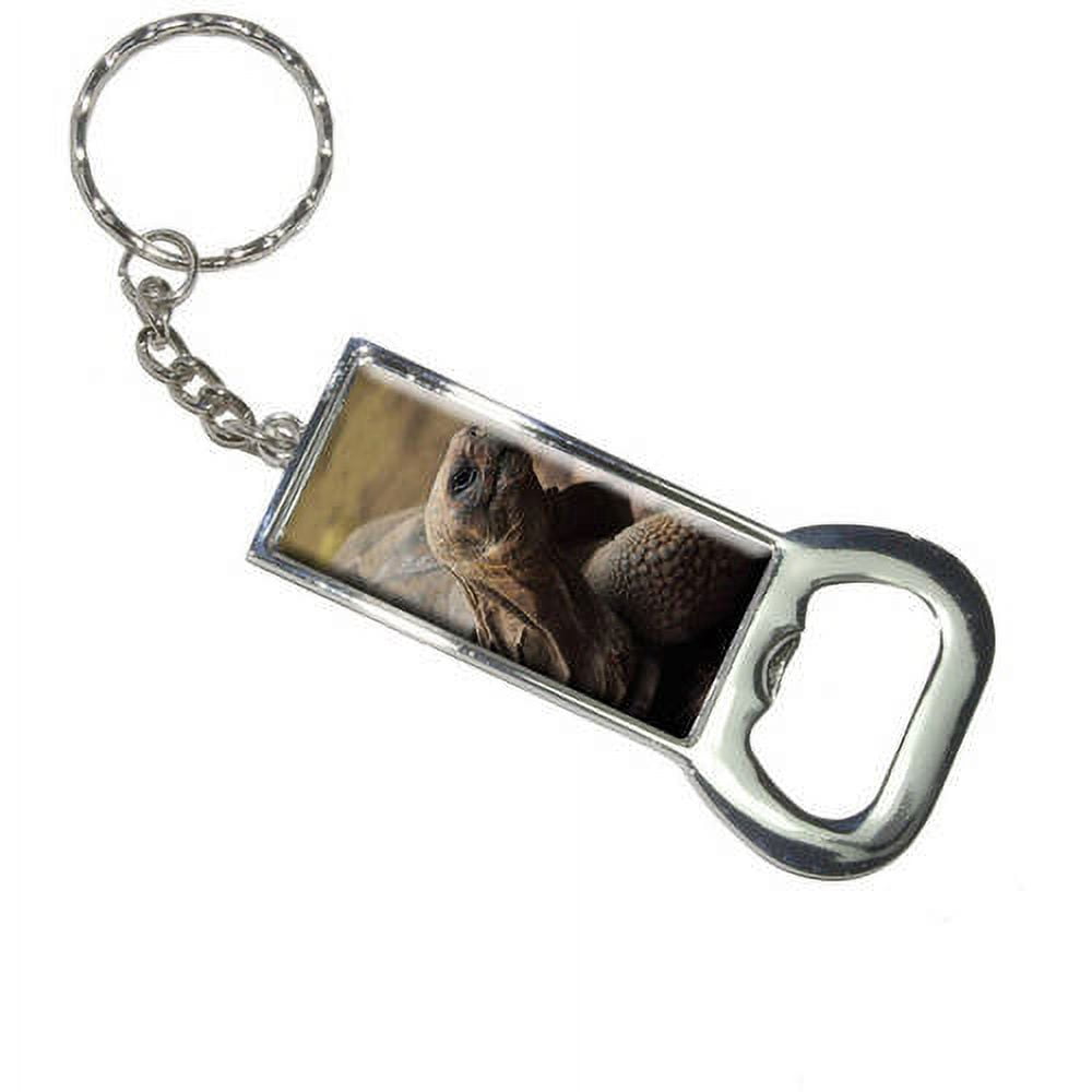 TORTOISE OPENER main image 1
