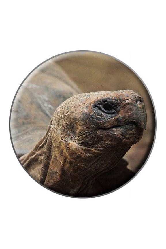 Tortoise - Turtle Lapel Hat Pin Tie Tack Small Round