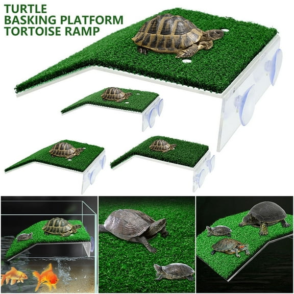 Tortoise Turtle Platform Basking Suction Cup Habitat Terrace Climbing Ladder