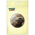 thumbnail image 1 of Tortoise Turtle Refrigerator Button Magnet, 1 of 2