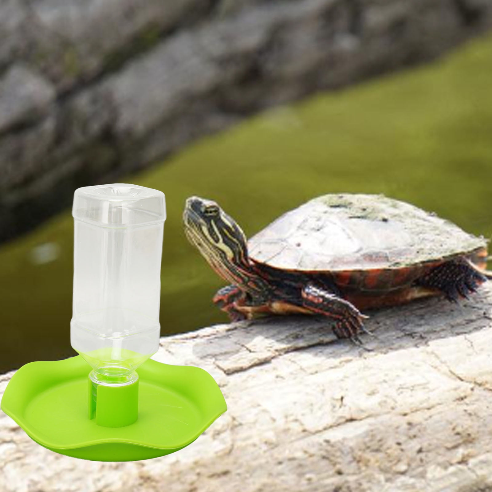Tortoise Water Feeder, Automatic Filling Transparent Bottle Reptile