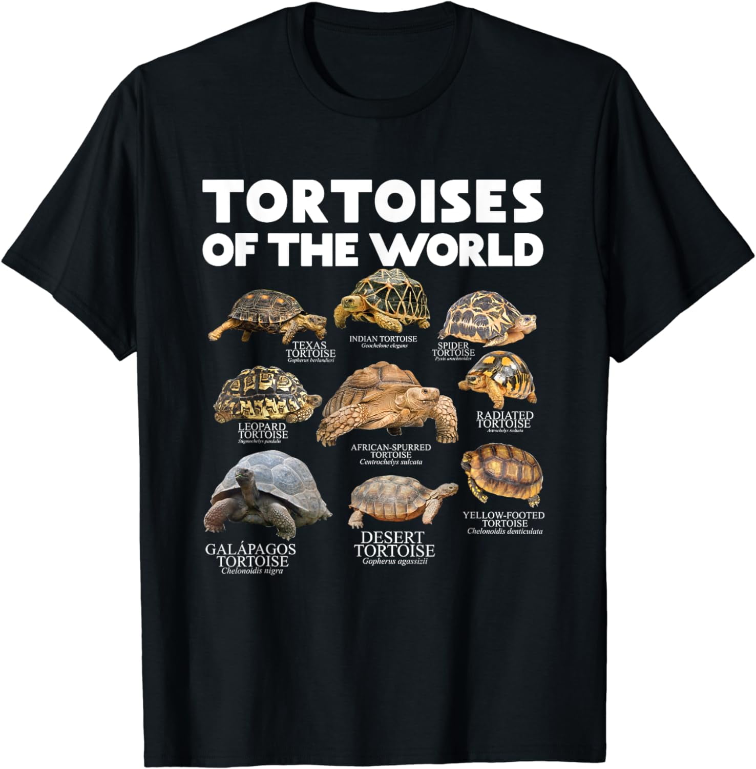Tortoises Of The World Turtles Lover Save The Tortoises T-Shirt ...