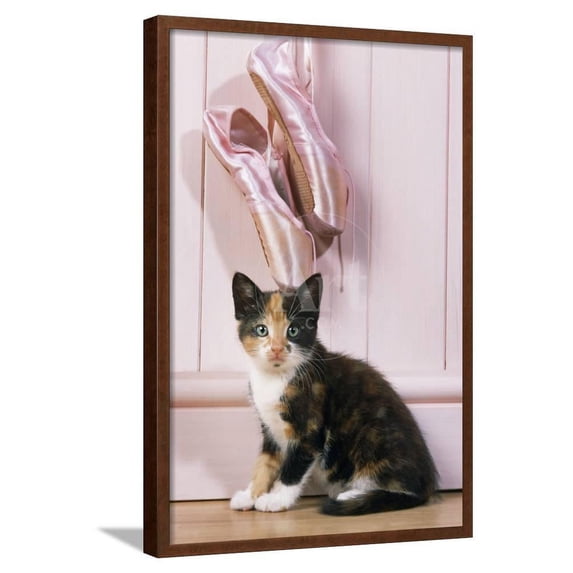 Tortoiseshell Cat Kitten with Ballet Shoes, Animals Figurative Framed Art Print Wall Art Sold by Art.Com