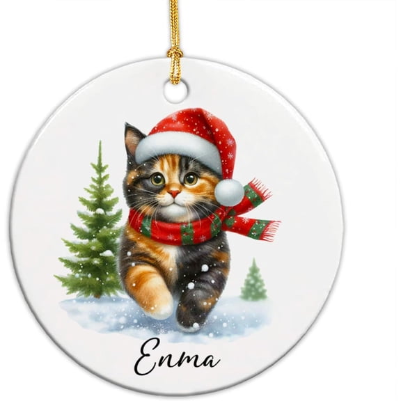 Tortoiseshell Cat Memorial Ornament, Tortoiseshell Xmas 2025 Ornament, Personalized Tortoiseshell Lover Gift Name Cat Pet Ceramic Ornament Keepsake, Tortoiseshell Ornament for Baby i5GW1N