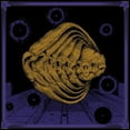 thumbnail image 1 of Tortuga - Iterations - Music & Performance - CD, 1 of 1