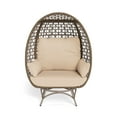 thumbnail image 1 of Tortuga Outdoor Rio Vista Outdoor Wicker Egg Chair with Legs and Swivel Base, 1 of 8
