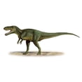 thumbnail image 1 of Torvosaurus Tanneri A Prehistoric Era Dinosaur From The Late Jurassic Period Poster Print, 20 x 9, 1 of 1