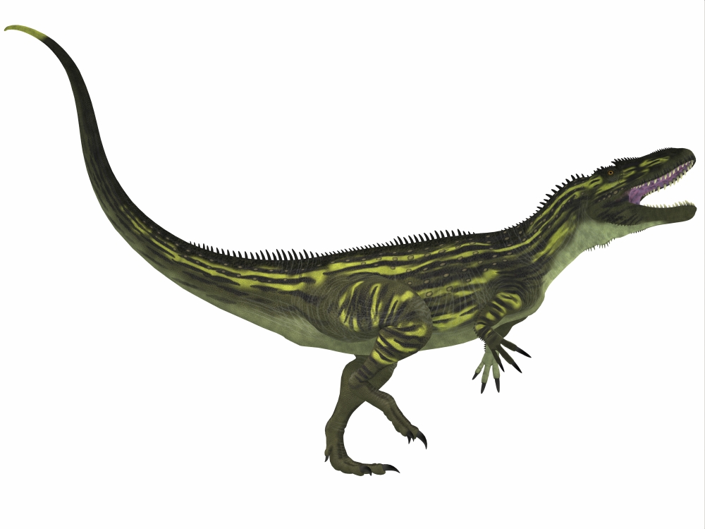 Torvosaurus a large theropod dinosaur from the Jurassic Period Canvas Art - Corey FordStocktrek Images (17 x 13)