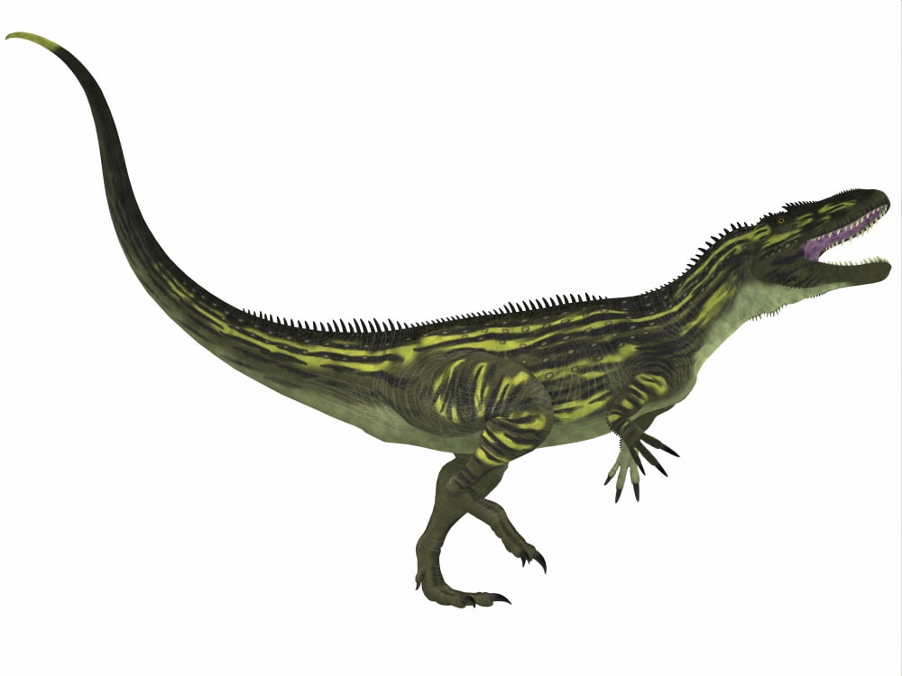 Torvosaurus a large theropod dinosaur from the Jurassic Period Canvas Art - Corey FordStocktrek Images (33 x 25)