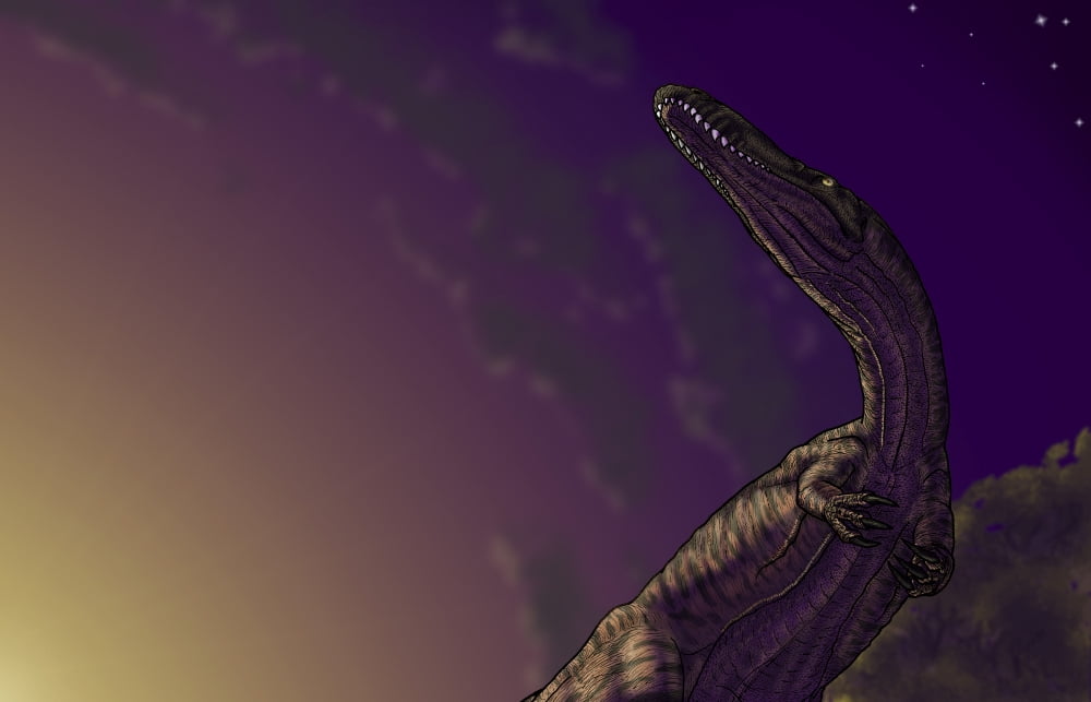 Torvosaurus a megalosaurid dinosaur from the Jurassic period Canvas Art - Vitor SilvaStocktrek images (18 x 12)