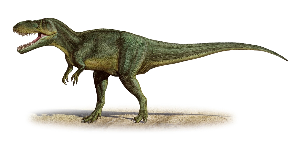 Torvosaurus tanneri a prehistoric era dinosaur Canvas Art - Sergey KrasovskiyStocktrek Images (40 x 20)