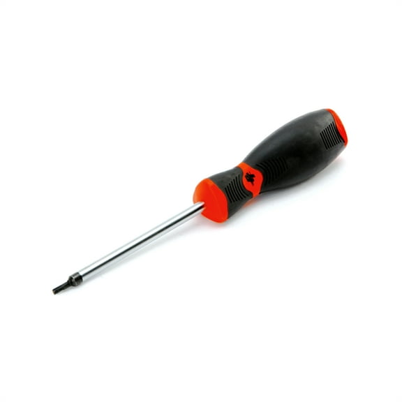 Torx Bit Screwdriver T10
