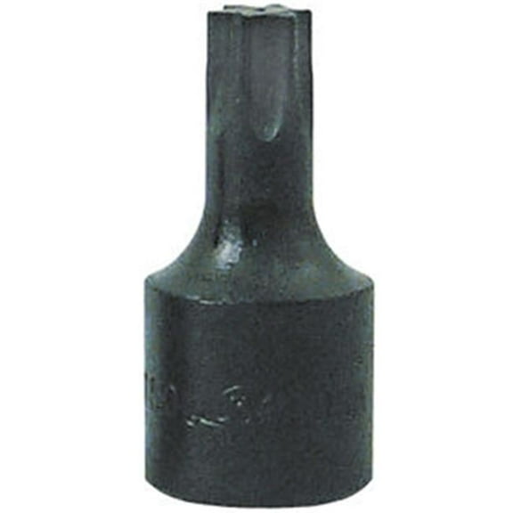 Torx Bit Socket T-25 - 0.25 Inch Drive