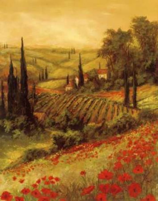 Toscano Valley II Canvas Art - Art Fronckowiak (22 x 28)